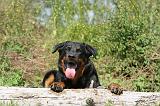 BEAUCERON 465